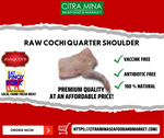 Raw Cochi Quarter Shoulder